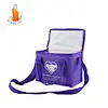 insulated cooler bag