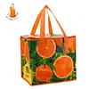 reusable cooler bag