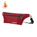 fanny pack waist bag