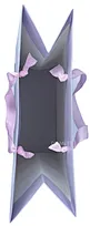shopping custom packaging bag