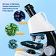 educational toys for kids