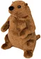 groundhog