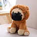 plush lovely puppy pet toy plush