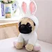 plush lovely puppy pet toy plush