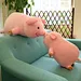 Pink pig plush toys
