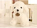stuffed  dog