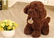 stuffed Teddy dog