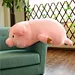 Pink pig plush toys
