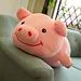 Embroidery stuffed toys