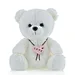 Soft plush brown teddy bear