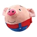 Plush doll soft ball