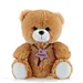 Soft plush brown teddy bear