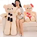 custom electric teddy bear