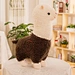 alpaca family