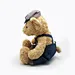 Dressed Bear