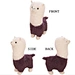 alpaca family