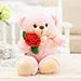 Valentine Stuffed Bear
