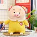 plush toy with cloth