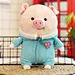 plush toy with cloth