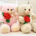 Valentine Stuffed Bear
