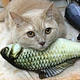 electric plush fish