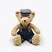 Dressed Bear
