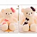 custom electric teddy bear