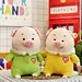 plush toy with cloth