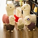 alpaca family