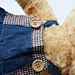 Dressed Bear