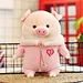 plush toy with cloth