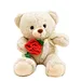 Valentine Stuffed Bear