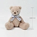 mini teddy bear