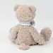 mini teddy bear