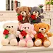 Valentine Stuffed Bear