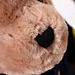 plush teddy bear cute bear toy