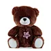 Soft plush brown teddy bear