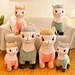 alpaca family
