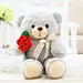 Valentine Stuffed Bear