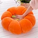 Stuffed Plush Toy