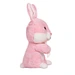 Plush toy rabbit