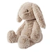 animals rabbit
