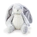 animals rabbit