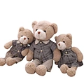 plush gift teddy bear