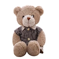 plush gift teddy bear