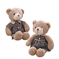 plush gift teddy bear