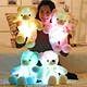 led teddy bear