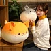 cat plush toy