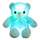 led teddy bear