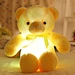 led teddy bear